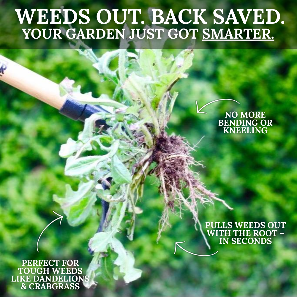 Grampa's Weed Buster