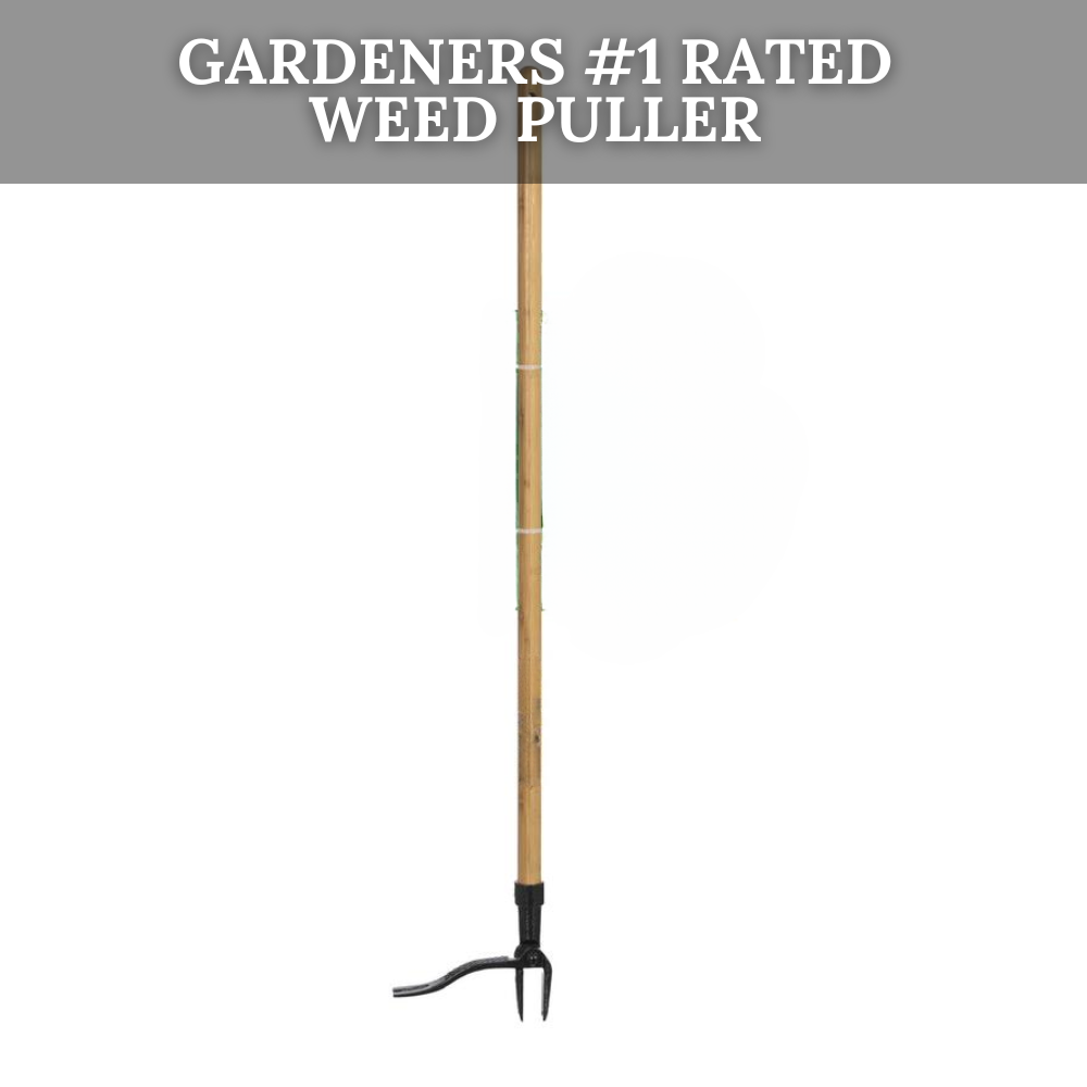 Grampa's Weed Buster